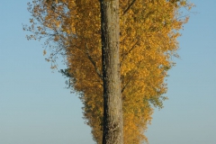 DSC_00090156