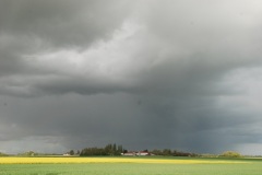 2_DSC_0037