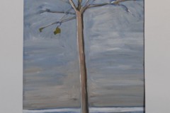 4_DSC_0002_01