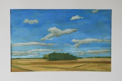 4_DSC_0009_02