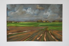 5_DSC_0008_01